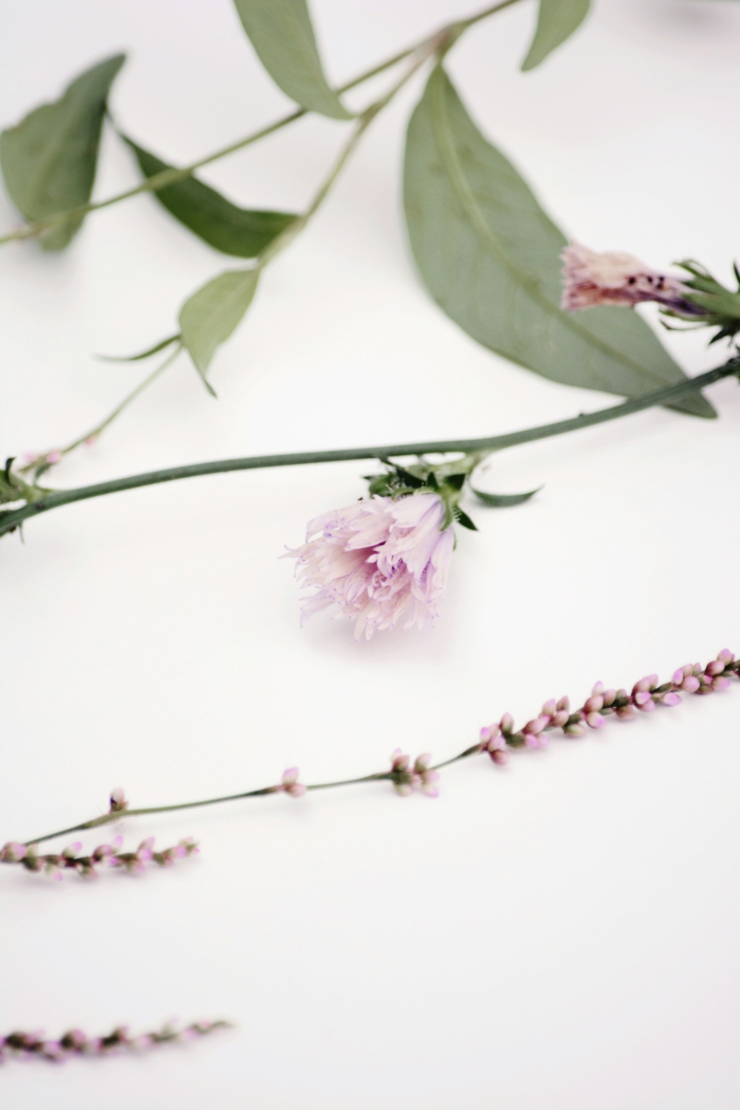 How Our Ointments Support Skin Health Naturally
