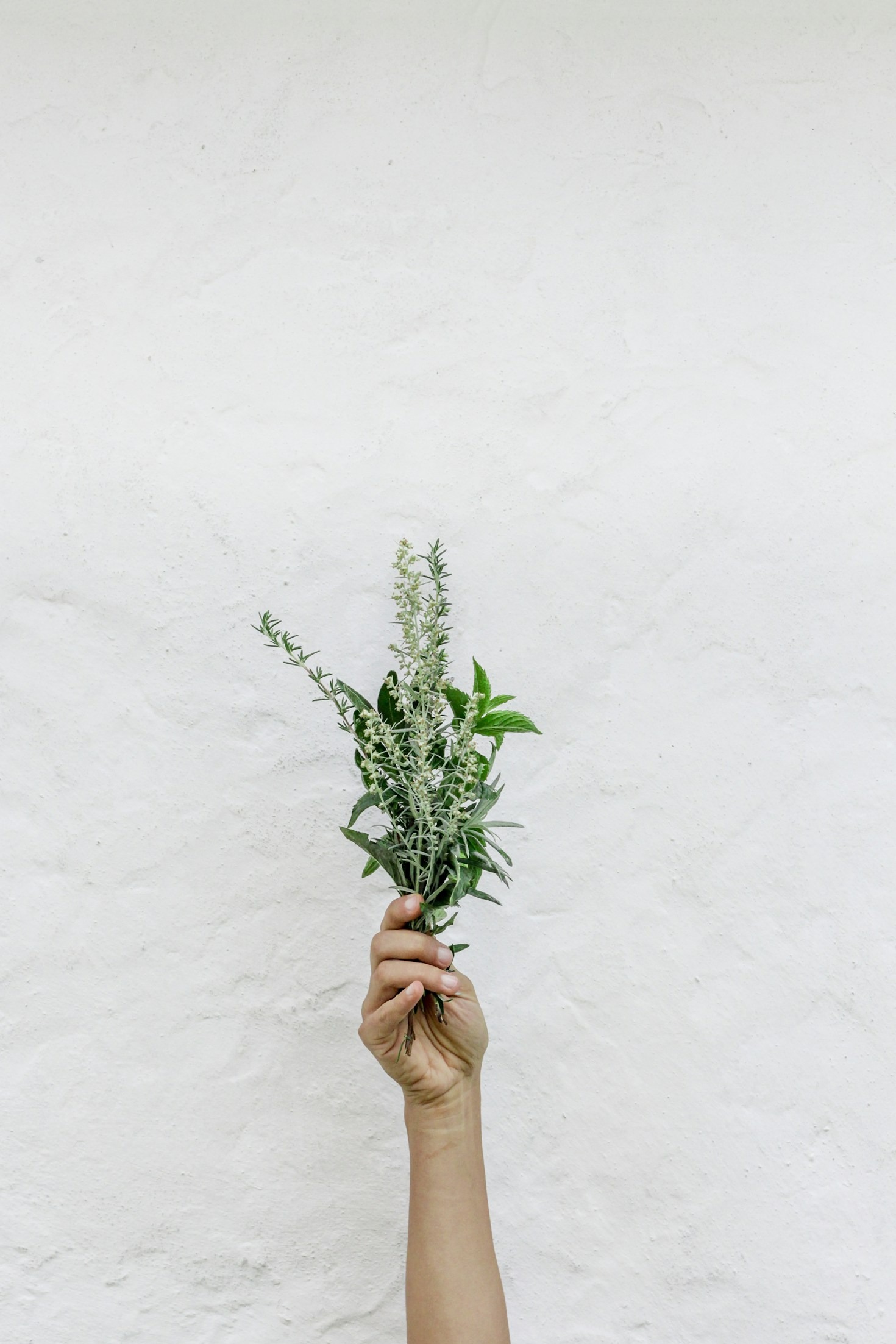 The Art of Creating Herbal Skincare Products