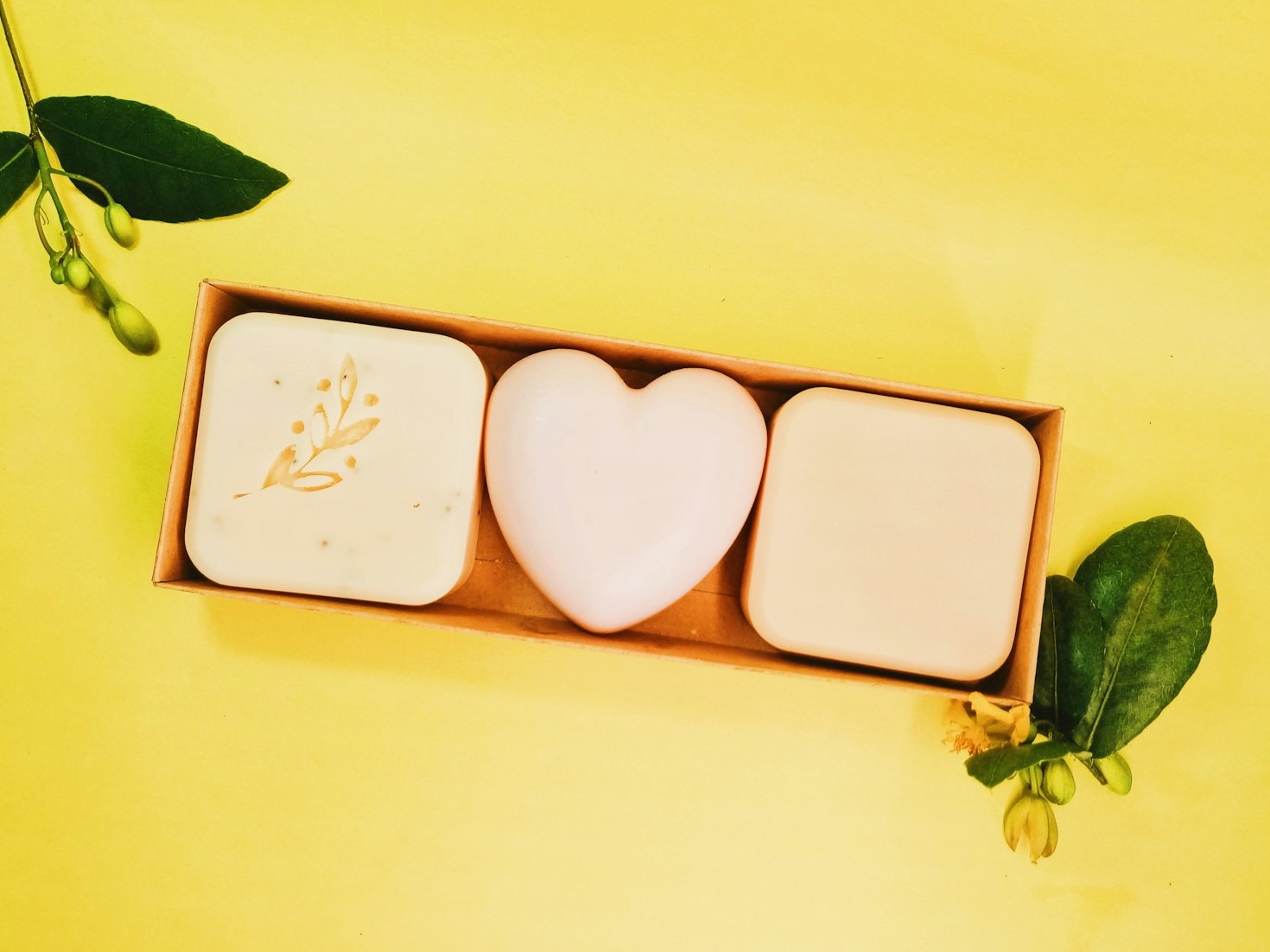 Embrace Nature: The Rise of Herbal Beauty Products